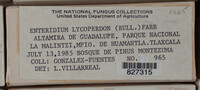 Image Associated With the Occurence